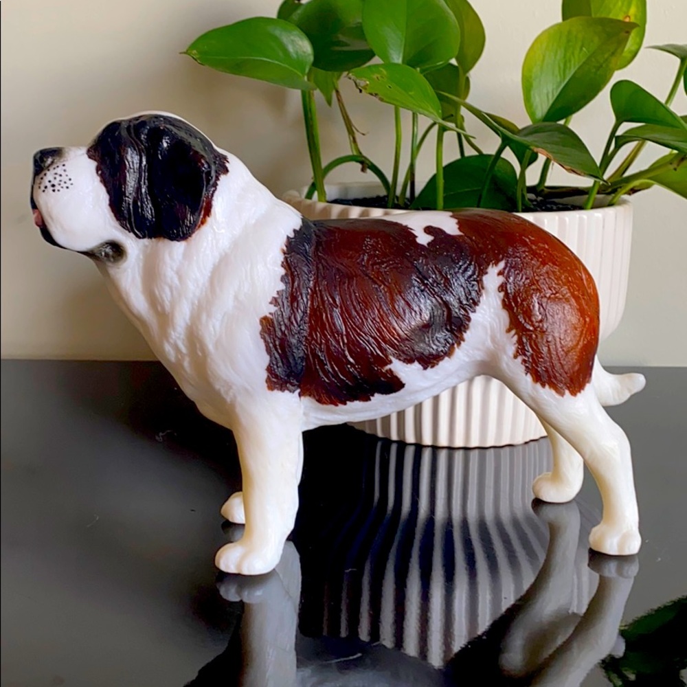 “Bucky” Breyer St. Bernard🐾🐶